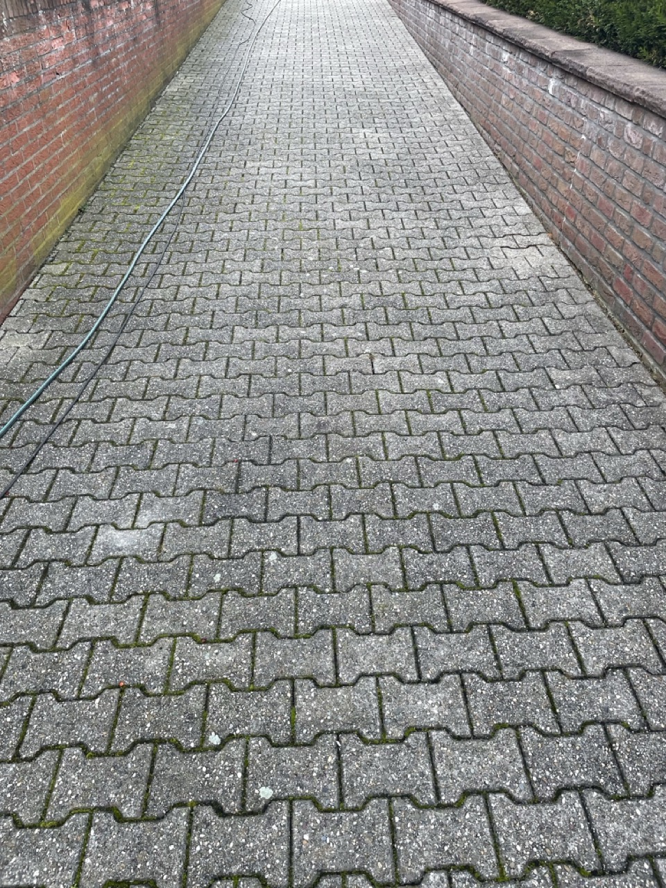 Fafex Steinreinigung Feldhaus 5 steinreinigung für die einfahrt